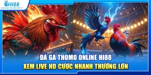 36.da ga thomo online hi88 – xem live hd cuoc nhanh thuong lon 2