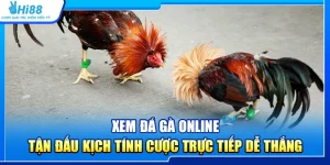 37.xem da ga online – tan dau kich tinh cuoc truc tiep de thang 4