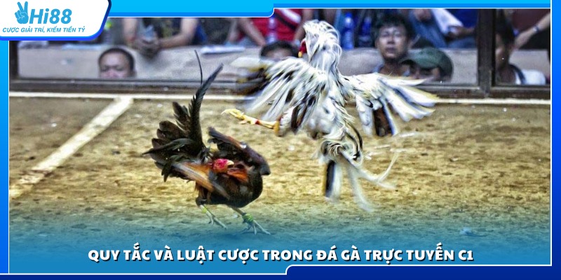 Các quy định cơ bản khi tham gia đá gà online C1